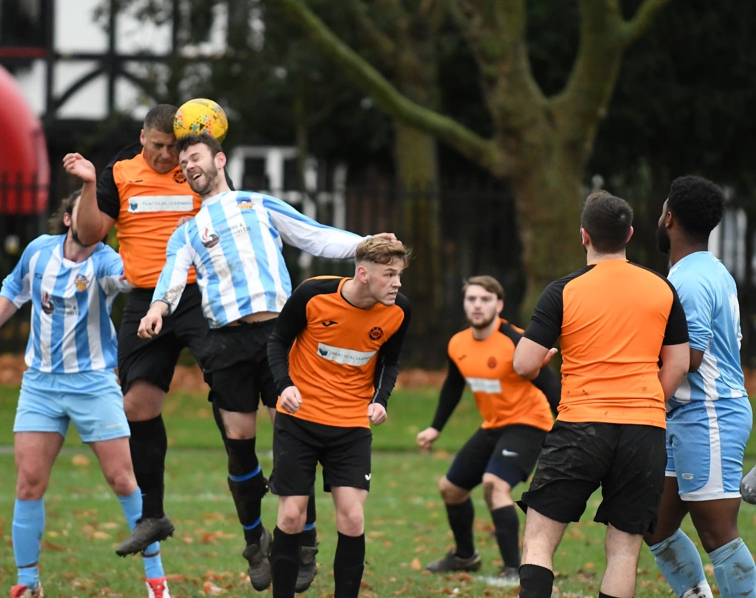 WEEK 14 REVIEW: Round-up of all the league and cup action from the weekend