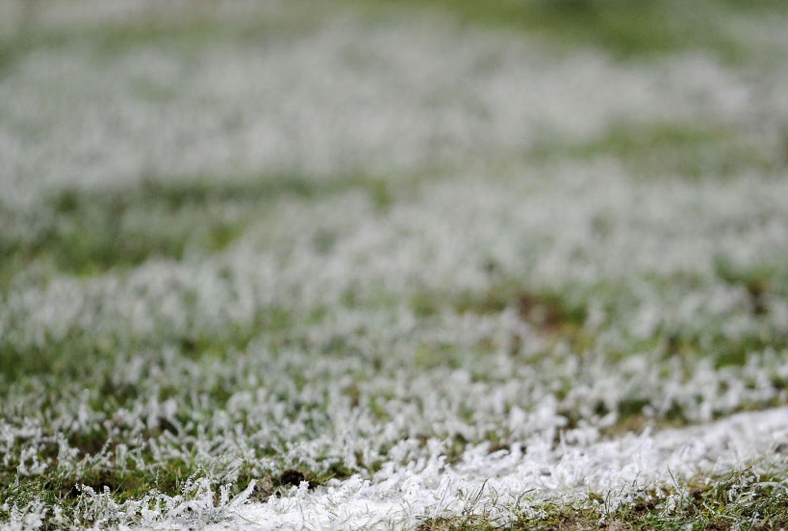 Severe Weather Protocol - Sun 4th Jan 2026