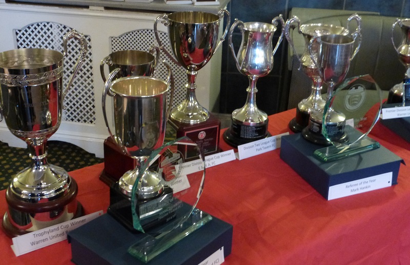 Constitution confirmed for 2015/16