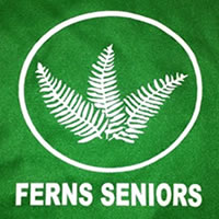 Ferns Seniors F.C.